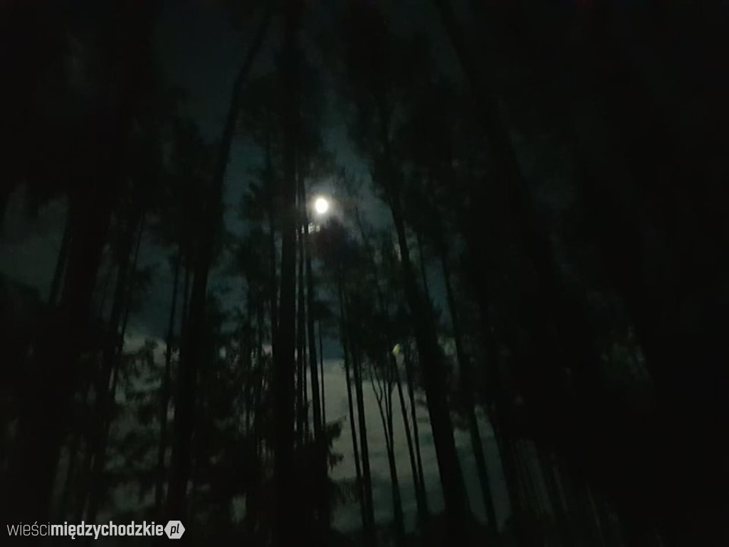 Nocny wypad w pogoni za księżycem