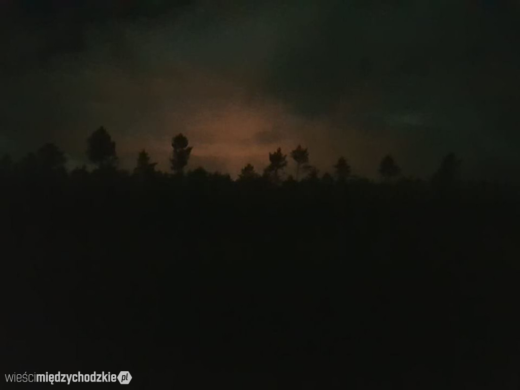 Nocny wypad w pogoni za księżycem