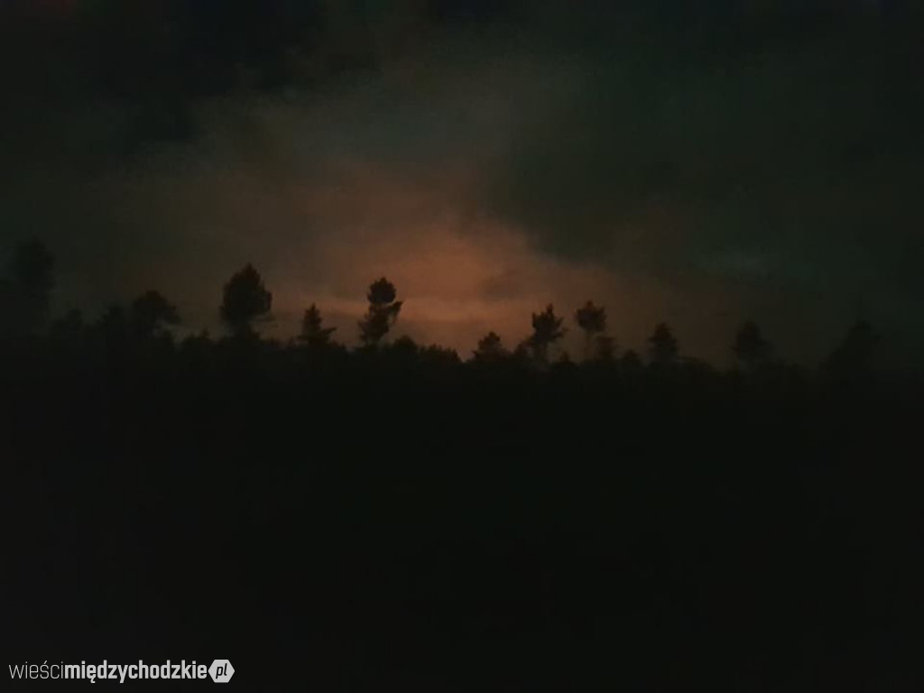 Nocny wypad w pogoni za księżycem