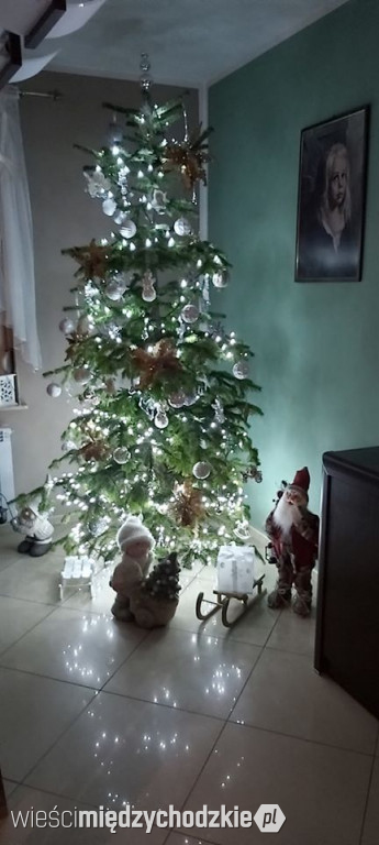 Kolekcja świątecznych choinek