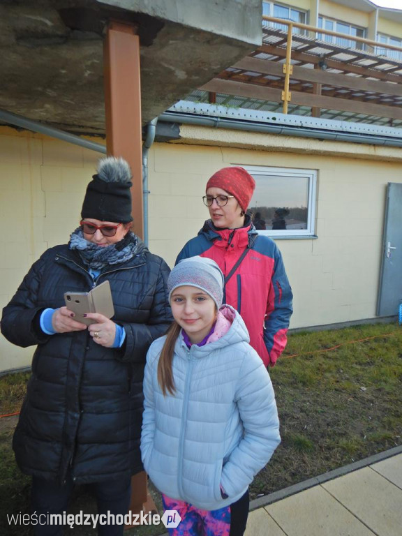 Poranna aktywność morsów