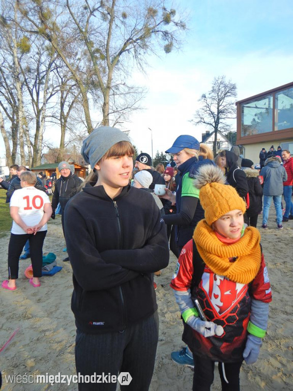 Poranna aktywność morsów