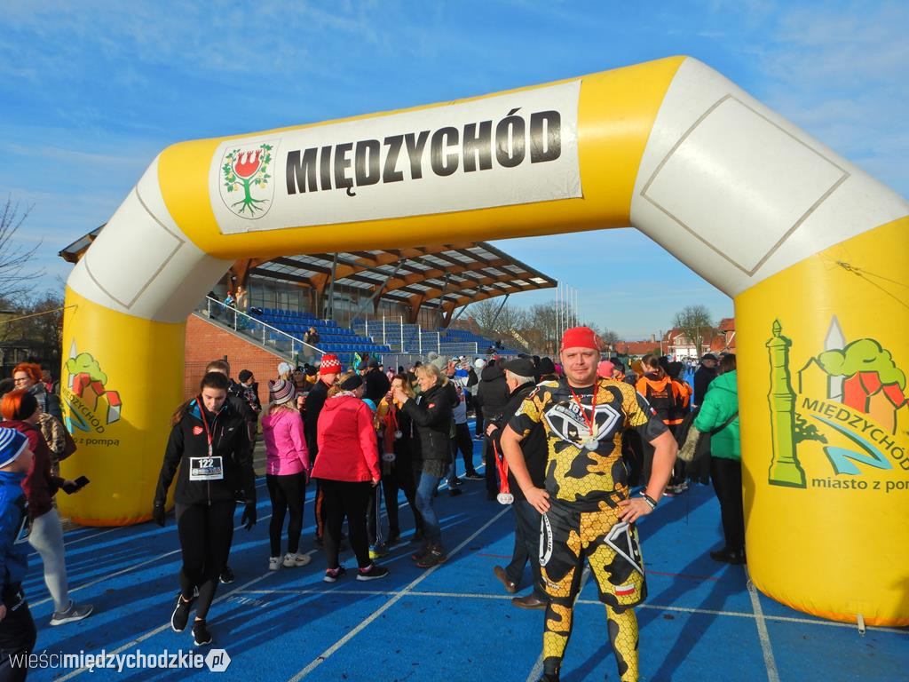 Poranna aktywność morsów