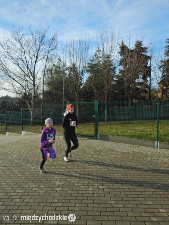 Poranna aktywność morsów