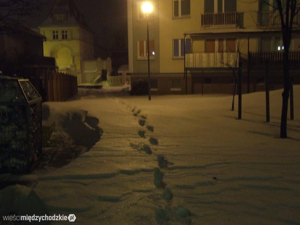 Zima w powiecie międzychodzkim