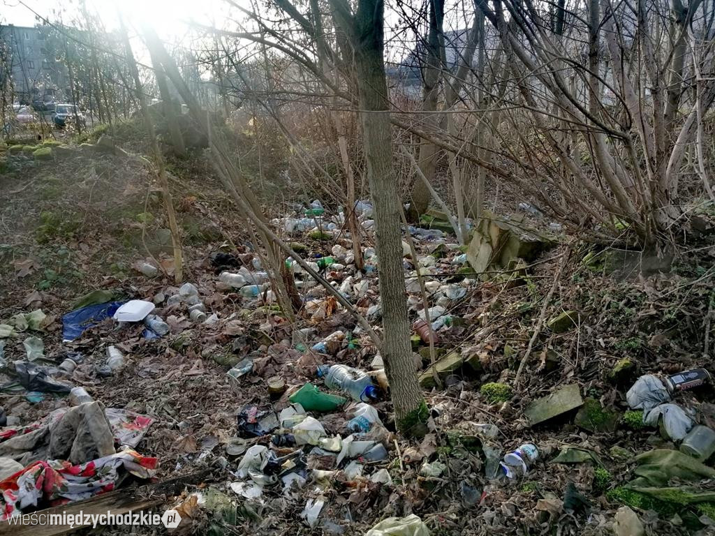 Kolejna akcja sprzątania Międzychodu