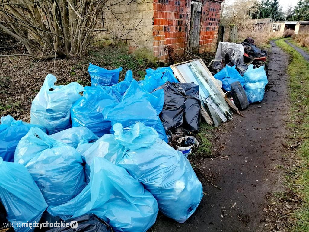 Kolejna akcja sprzątania Międzychodu