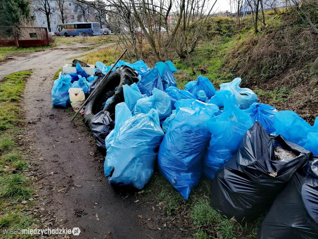 Kolejna akcja sprzątania Międzychodu