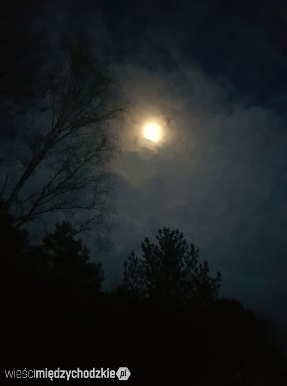 Wieczorne niebo nad Zatomiem Nowym