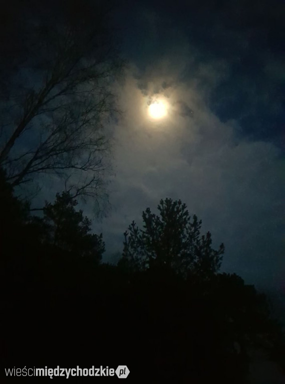Wieczorne niebo nad Zatomiem Nowym