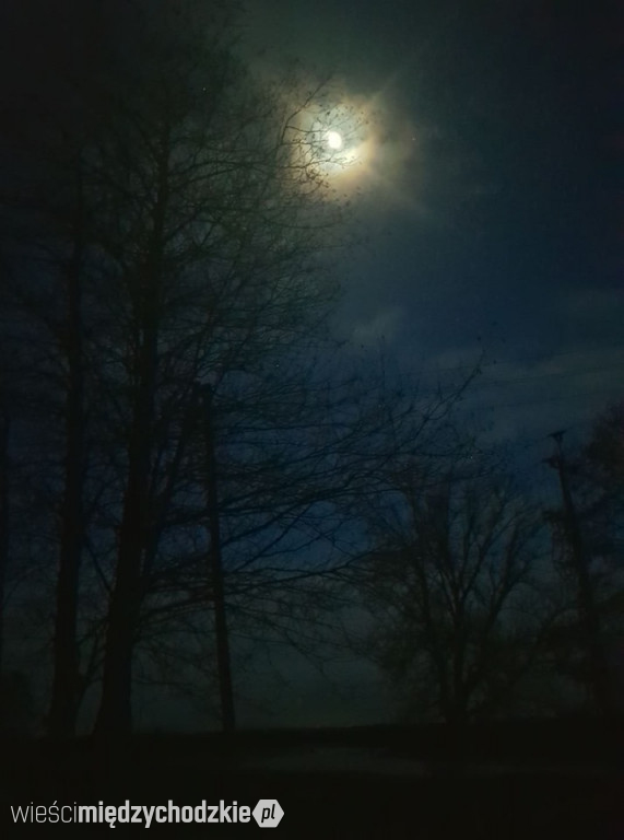 Wieczorne niebo nad Zatomiem Nowym