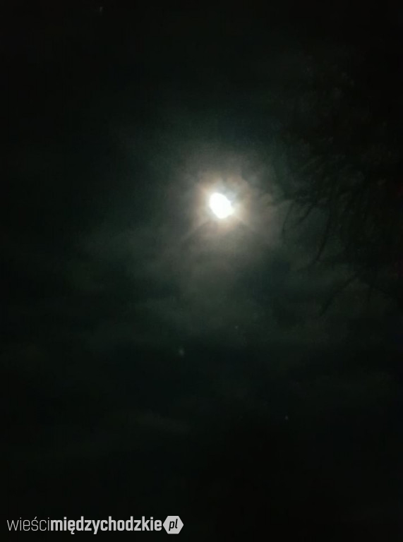 Wieczorne niebo nad Zatomiem Nowym