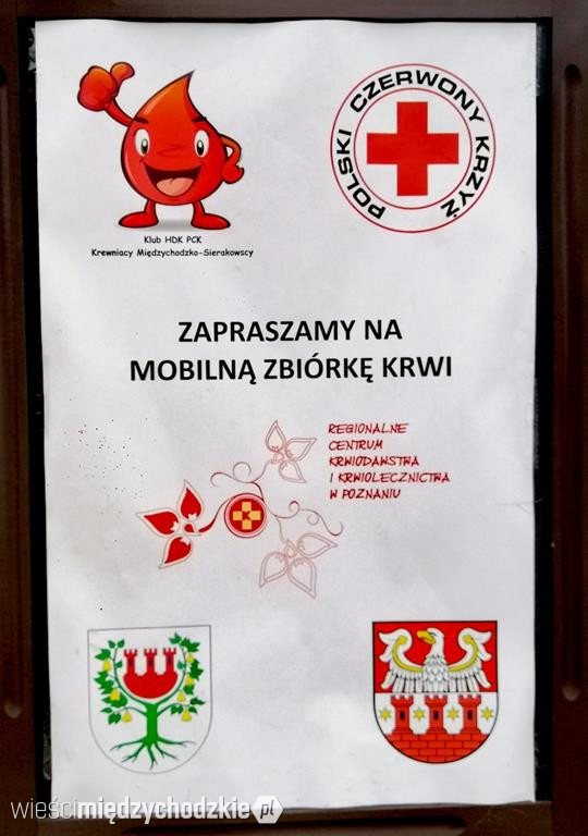 Kolejna akcja krwiodawców w Międzychodzie