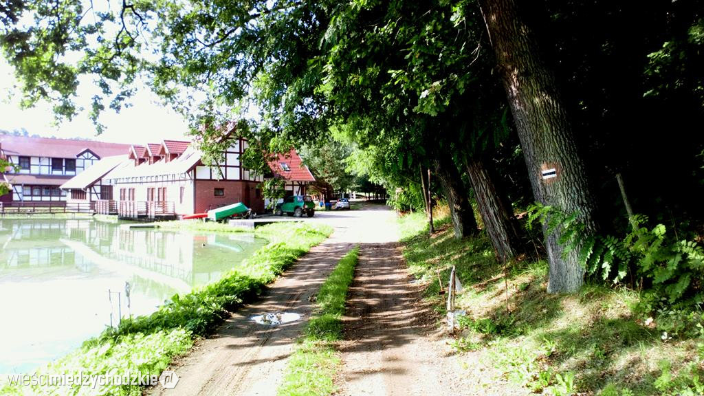 Pętla gorzyńska. Szlak czarny