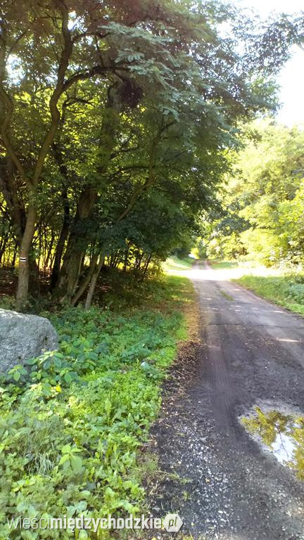 Pętla gorzyńska. Szlak czarny