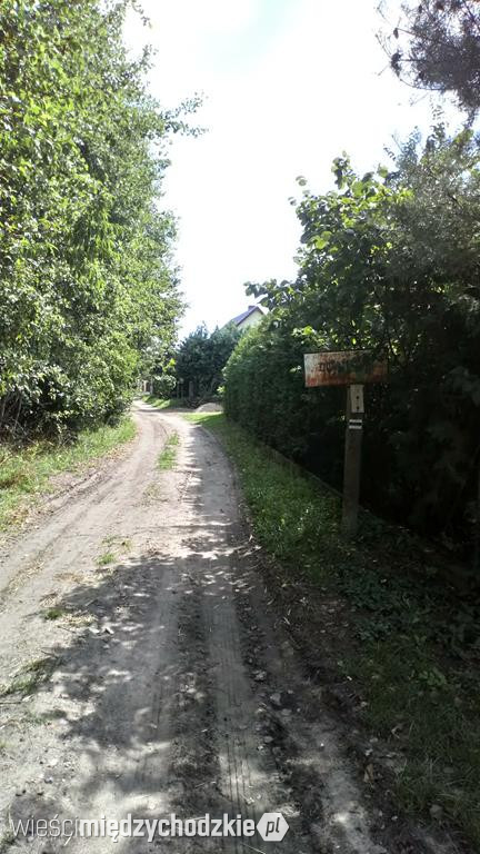 Pętla gorzyńska. Szlak czarny
