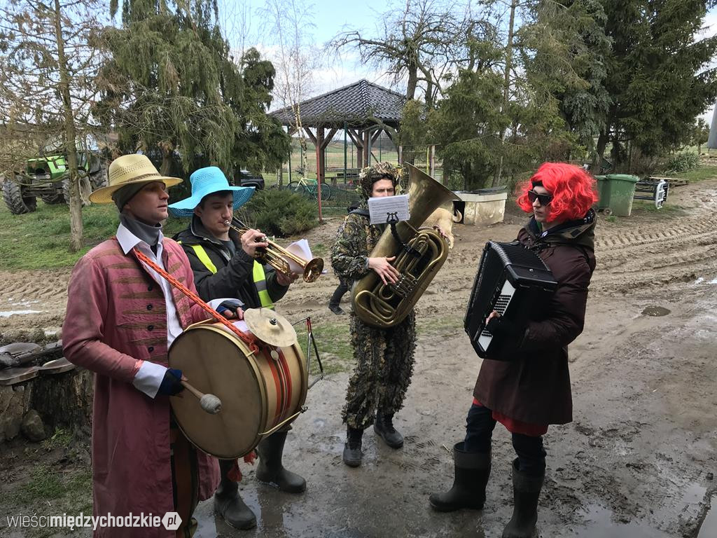 Niedźwiedzi korowód przemaszerował po Kamionnie