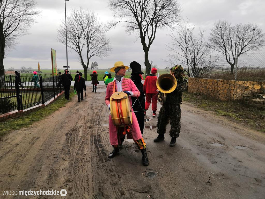 Niedźwiedzi korowód przemaszerował po Kamionnie