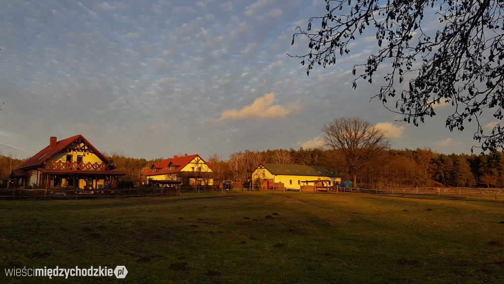 Zdjęcia czytelników