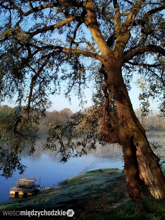 Zdjęcia czytelników