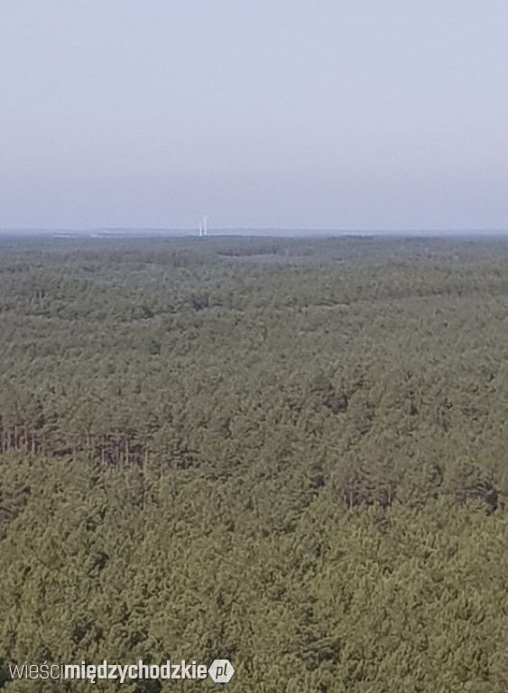 Lot nad Puszczą Notecką