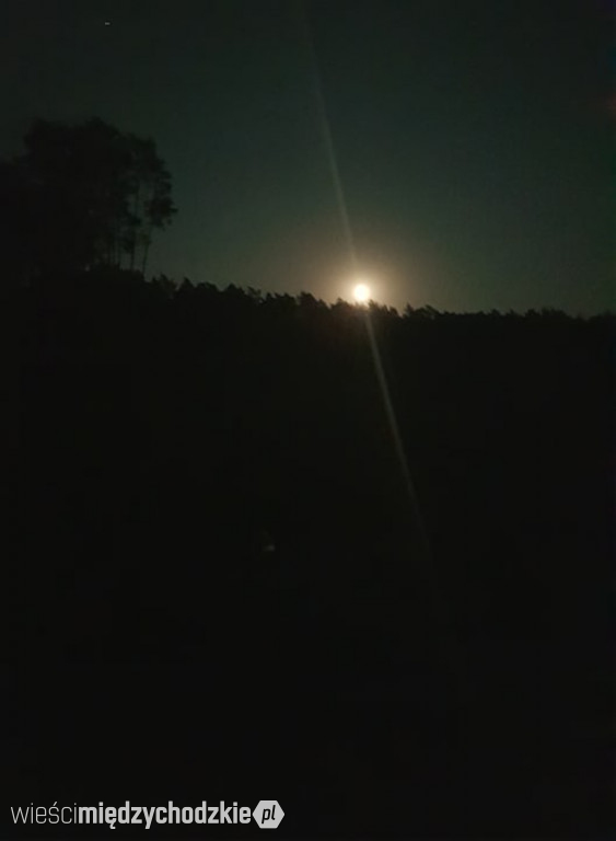 Księżyc wstaje nad Puszczą Notecką