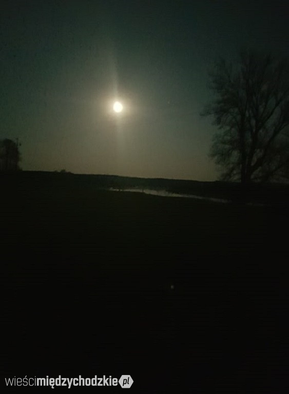 Księżyc wstaje nad Puszczą Notecką