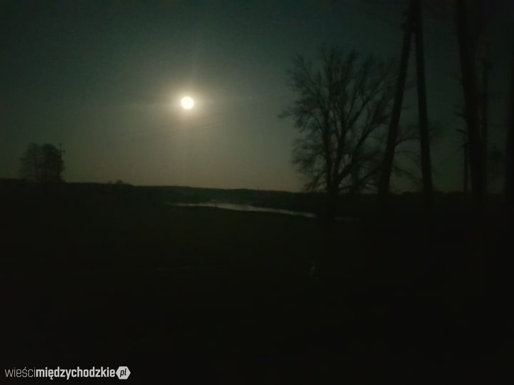 Księżyc wstaje nad Puszczą Notecką