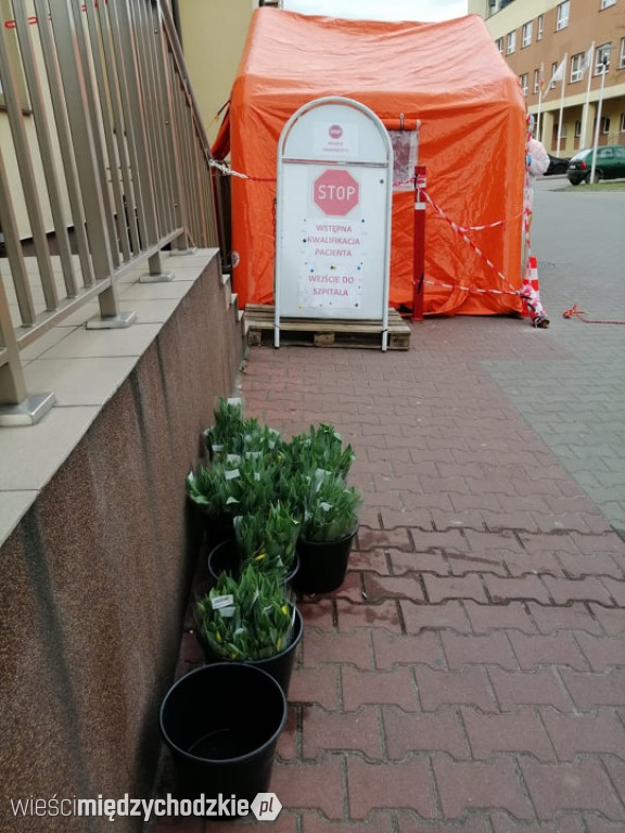 Kwiaty dla pracowników międzychodzkiego szpitala