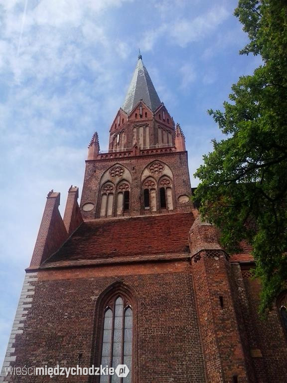 Pieszo przez kraj. Trzebiatów: Szlak słonia