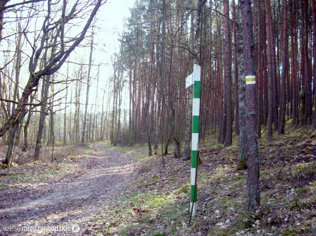 Pieszo przez kraj: Z Sowiej Góry do Międzychodu.