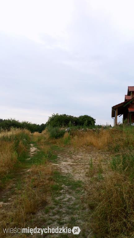 Szlak pieszy z Międzychodu do Zatomia Starego