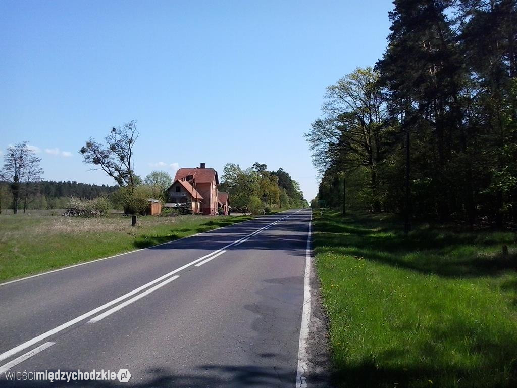 Szlak pieszy z Międzychodu do Zatomia Starego