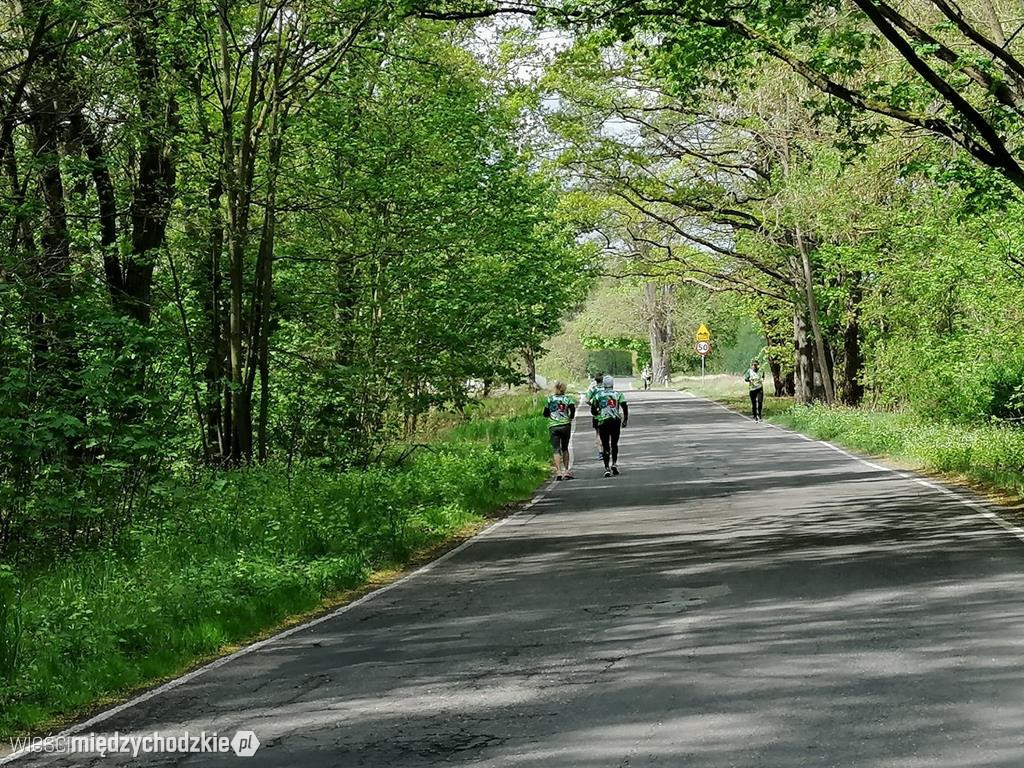 Międzychodzianie w biegu Wings for Life World Run