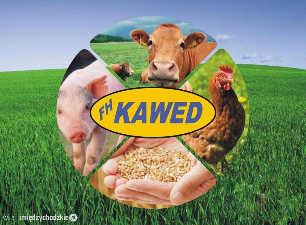 FH KAWED z Wielowsi zaprasza na zakupy
