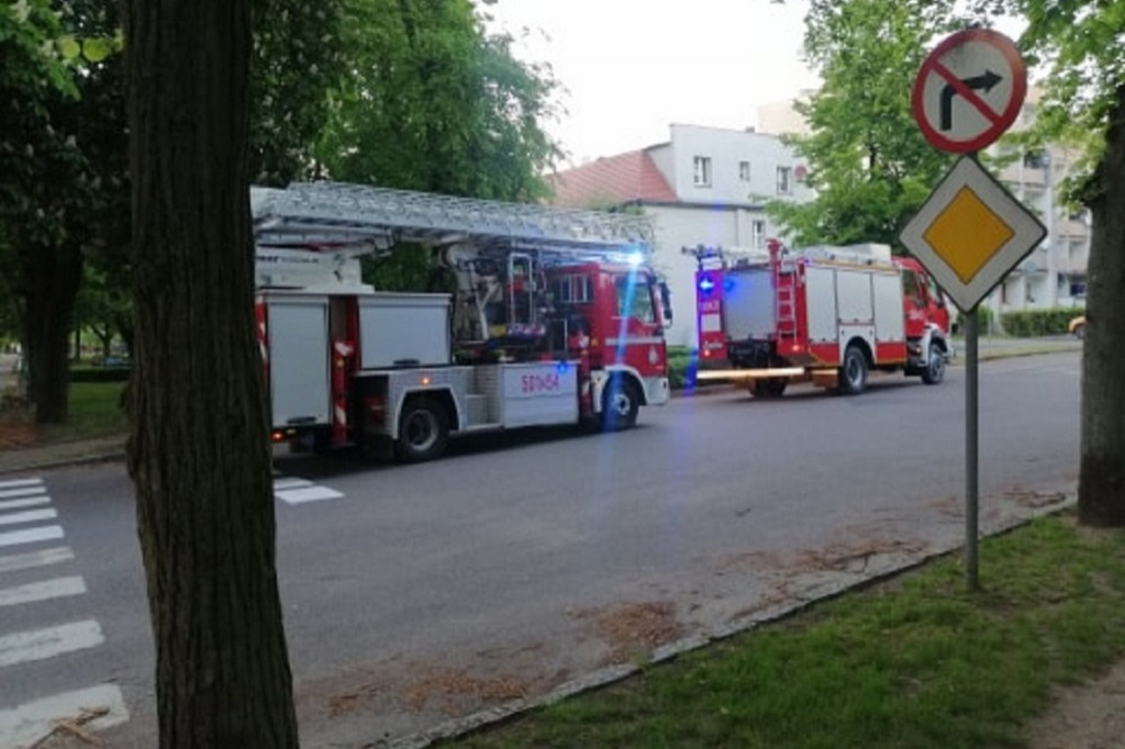 Policyjna interwencja w Międzychodzie