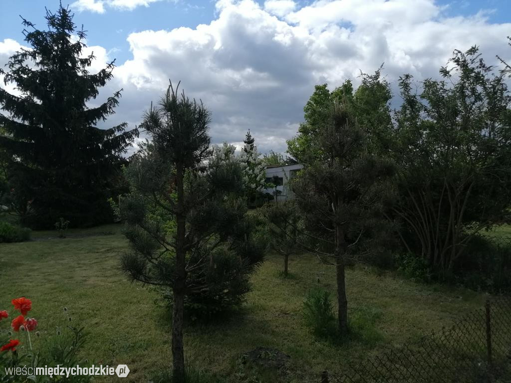 Wiosna na ROD im. Chopina w Międzychodzie