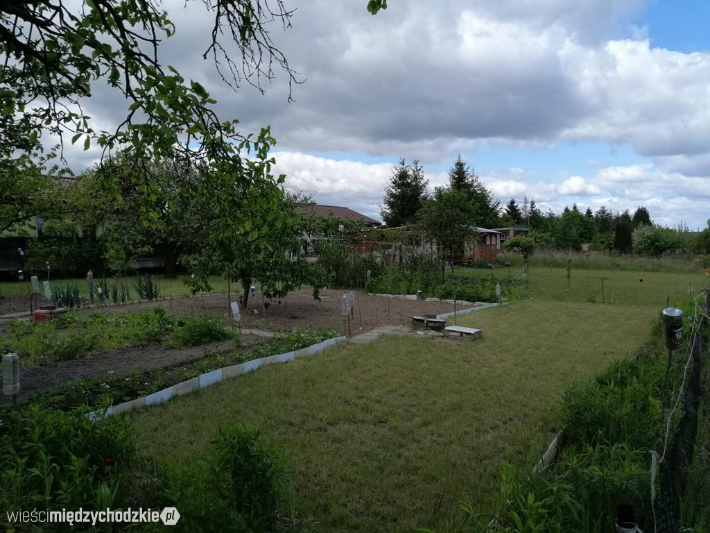 Wiosna na ROD im. Chopina w Międzychodzie