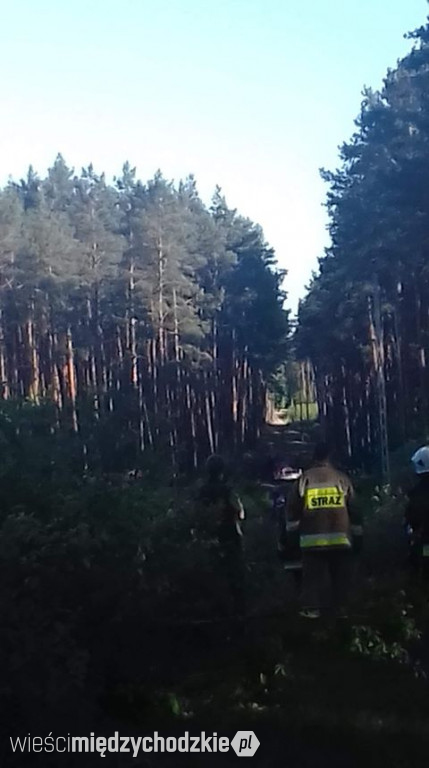 Pożar poszycia leśnego w rejonie Sierakowa