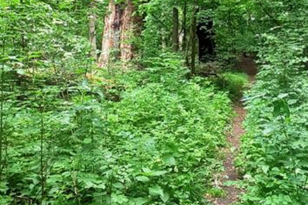 Swimrun się zbliża. Zobaczcie fotki z trasy