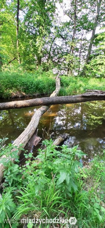 Swimrun się zbliża. Zobaczcie fotki z trasy