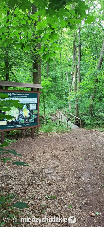 Swimrun się zbliża. Zobaczcie fotki z trasy