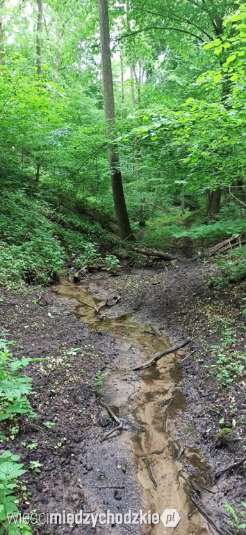 Swimrun się zbliża. Zobaczcie fotki z trasy