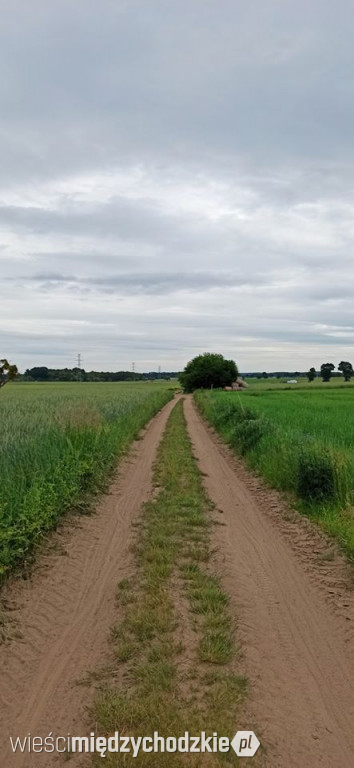 Swimrun się zbliża. Zobaczcie fotki z trasy