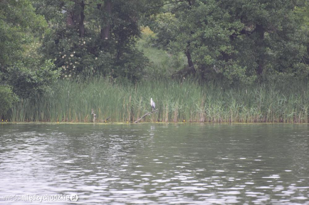 Pierwszy dzień lata na Ośrodku w Mierzynie