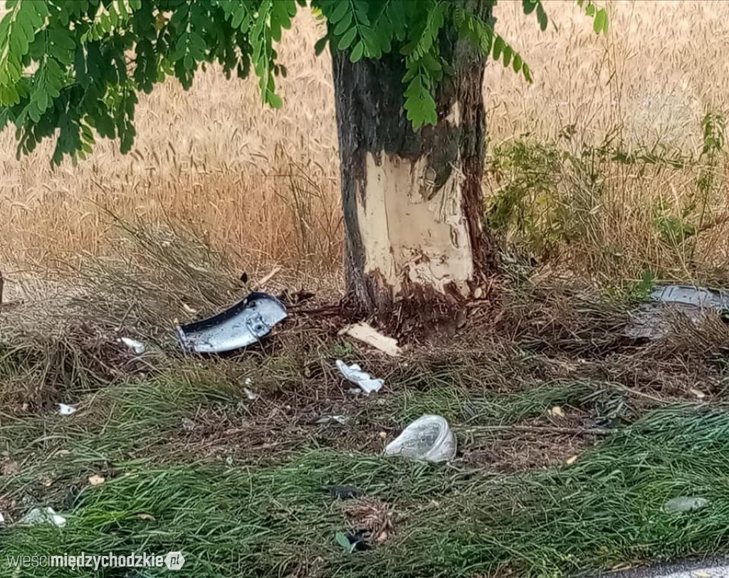 Kierująca samochodem zjechała z drogi