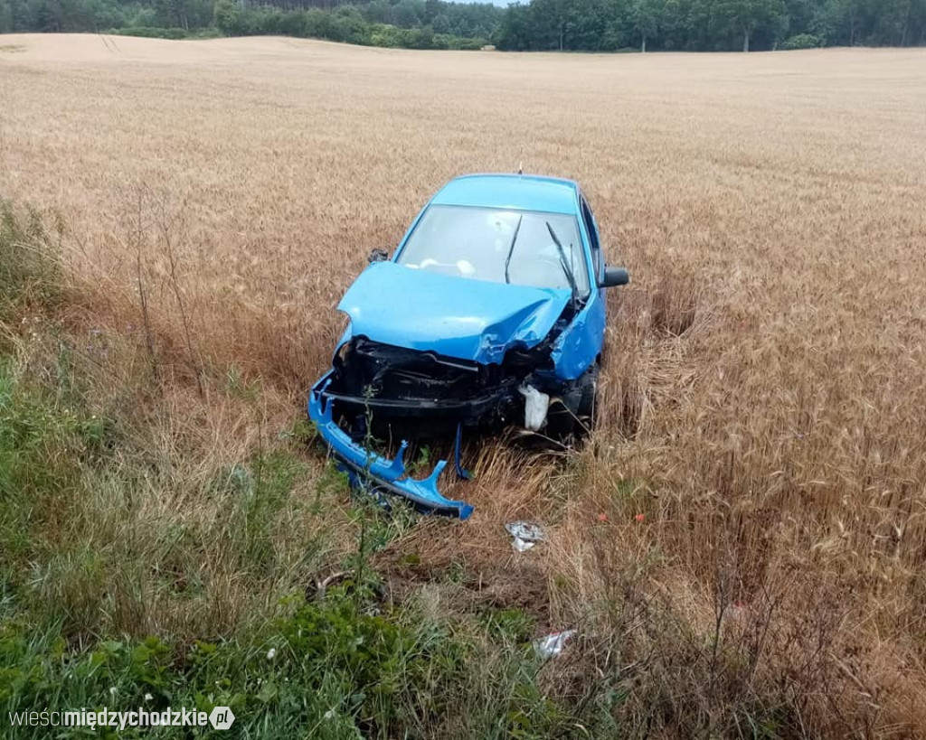 Kierująca samochodem zjechała z drogi