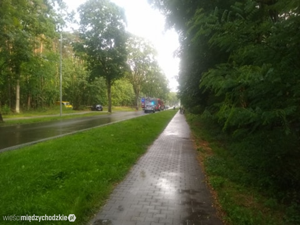 Tragiczny wypadek drogowy w Sierakowie