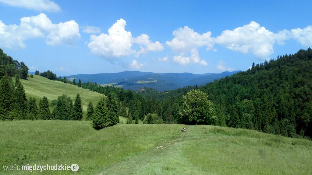 Wąwóz Homole w Pieninach