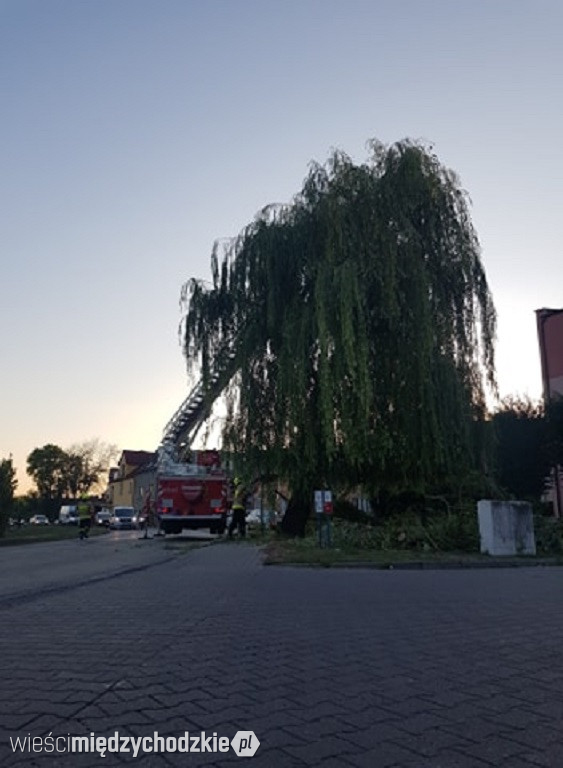 Strażacy nie tylko gaszą pożary